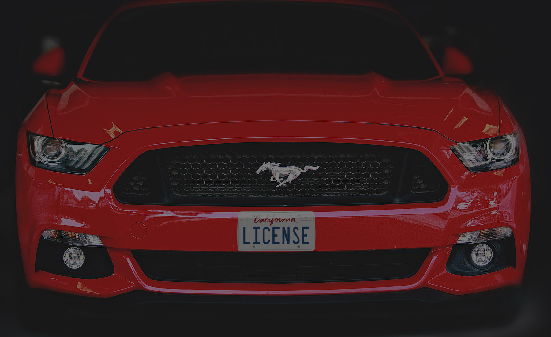 license plate replica